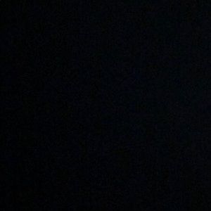 Meet your Posher, Theodore